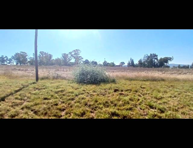 21,011M² VACANT LAND FOR SALE IN OPHIR AH
